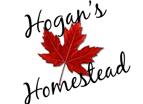Hogan’s Homestead